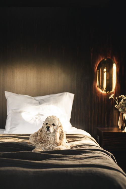 Bed linens